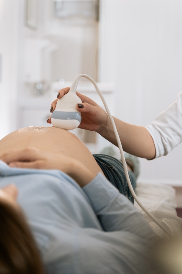 pregled ultrazvuk trudnice